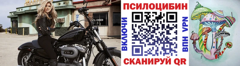 Псилоцибиновые грибы мухоморы  мега ONION  Яранск 